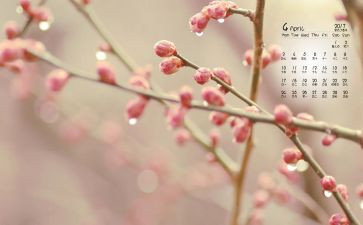 行政4月工作计划7篇