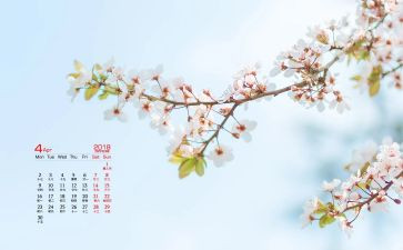 幼儿园中班4月份工作计划6篇
