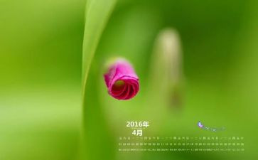 幼师4月份工作总结8篇