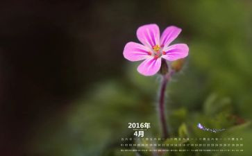 村4月份工作计划7篇
