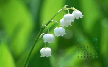 4月幼儿园安全工作计划5篇