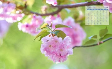 4月物业工作计划8篇