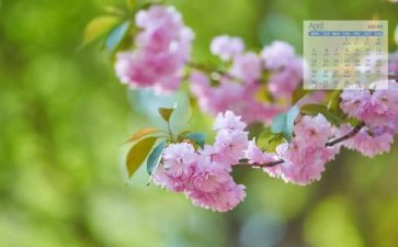 4月教师总结8篇