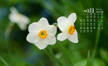 大班4月份月总结5篇