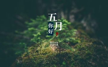 幼师5月份工作总结5篇