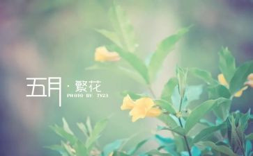 幼儿园5月工作计划5篇