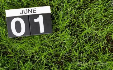 6月安全生产日活动总结5篇