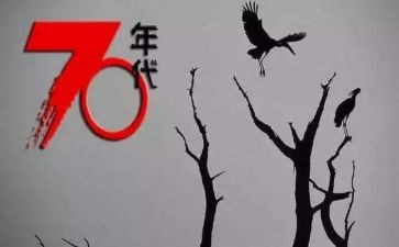 70后宣传工作总结推荐5篇