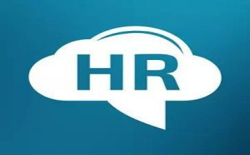 2024年hr工作总结8篇