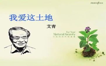 艾青的树的读后感推荐5篇