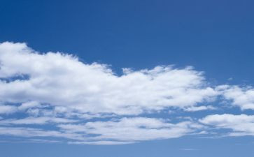 黑白色的作文8篇