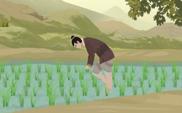 《拔苗助长》读后感通用6篇