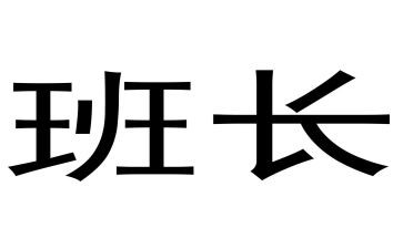 2024年保安班长个人年终总结优质6篇