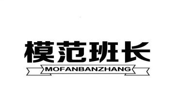 保安班长工作总结模板8篇