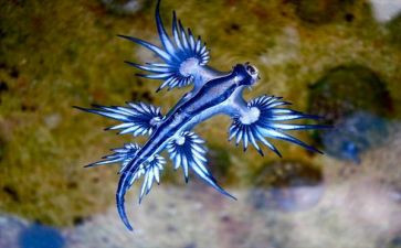 生物初中工作计划6篇
