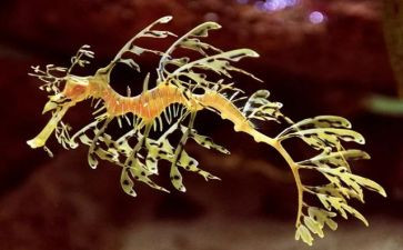 八上生物教师工作总结6篇
