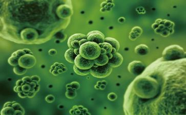 初一上学期生物工作总结6篇