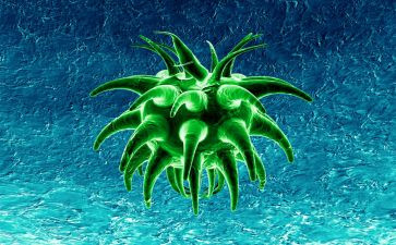 八上生物教师工作总结模板7篇