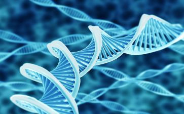 生物教师工作总结优质6篇