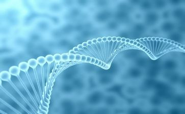 初中生物教师工作总结2023模板6篇