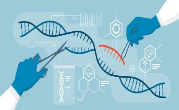 2024年生物实验室工作总结5篇