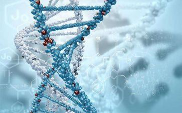 生物教师工作总结优秀7篇