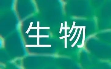 高中生物组工作总结通用8篇