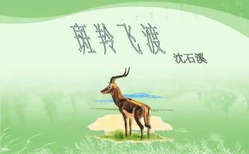斑羚飞渡读后感参考5篇