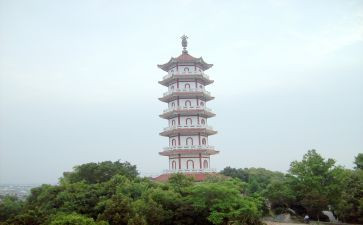 宝塔的作文6篇