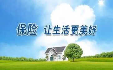 保险行业个人工作总结6篇