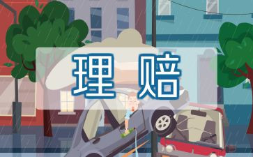 2024年保险公司年终工作总结通用8篇