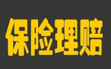 2023年保险工作总结最新8篇
