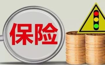 保险公司个人年度总结范文模板5篇