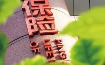 保险公司的述职报告模板6篇