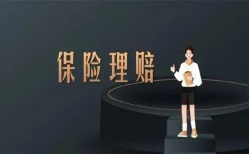 公司保险年终总结范文8篇