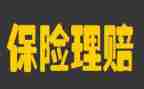 2024保险公司个人年终总结模板7篇