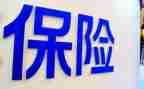 保险公司个人年度总结范文5篇