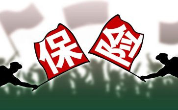 保险业务员个人工作总结优秀6篇