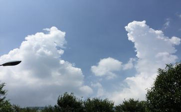 食的变化的调研报告5篇
