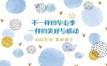 毕设设计工作总结最新6篇