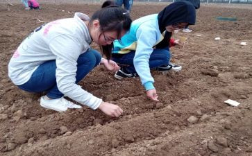 幼儿园中班播种子教案7篇