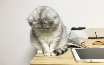 不开心作文600字优质5篇