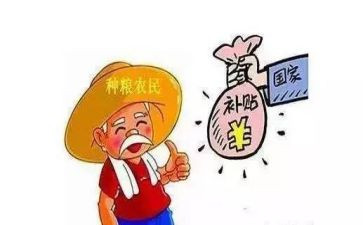 津补贴申请书模板5篇