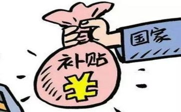 写补贴申请书精选5篇