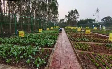 菜根谭的心得体会8篇