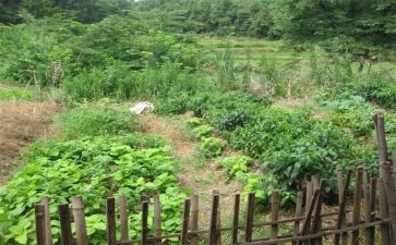 湘菜季度工作总结8篇