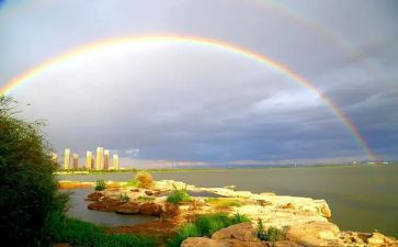 彩虹的纸教案8篇