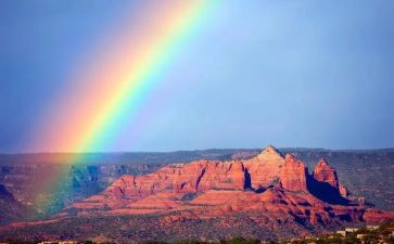 《彩虹鸽》读后感优秀7篇