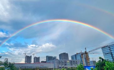 11.彩虹教案8篇