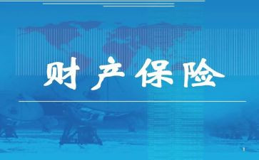 财险个人年终工作总结7篇